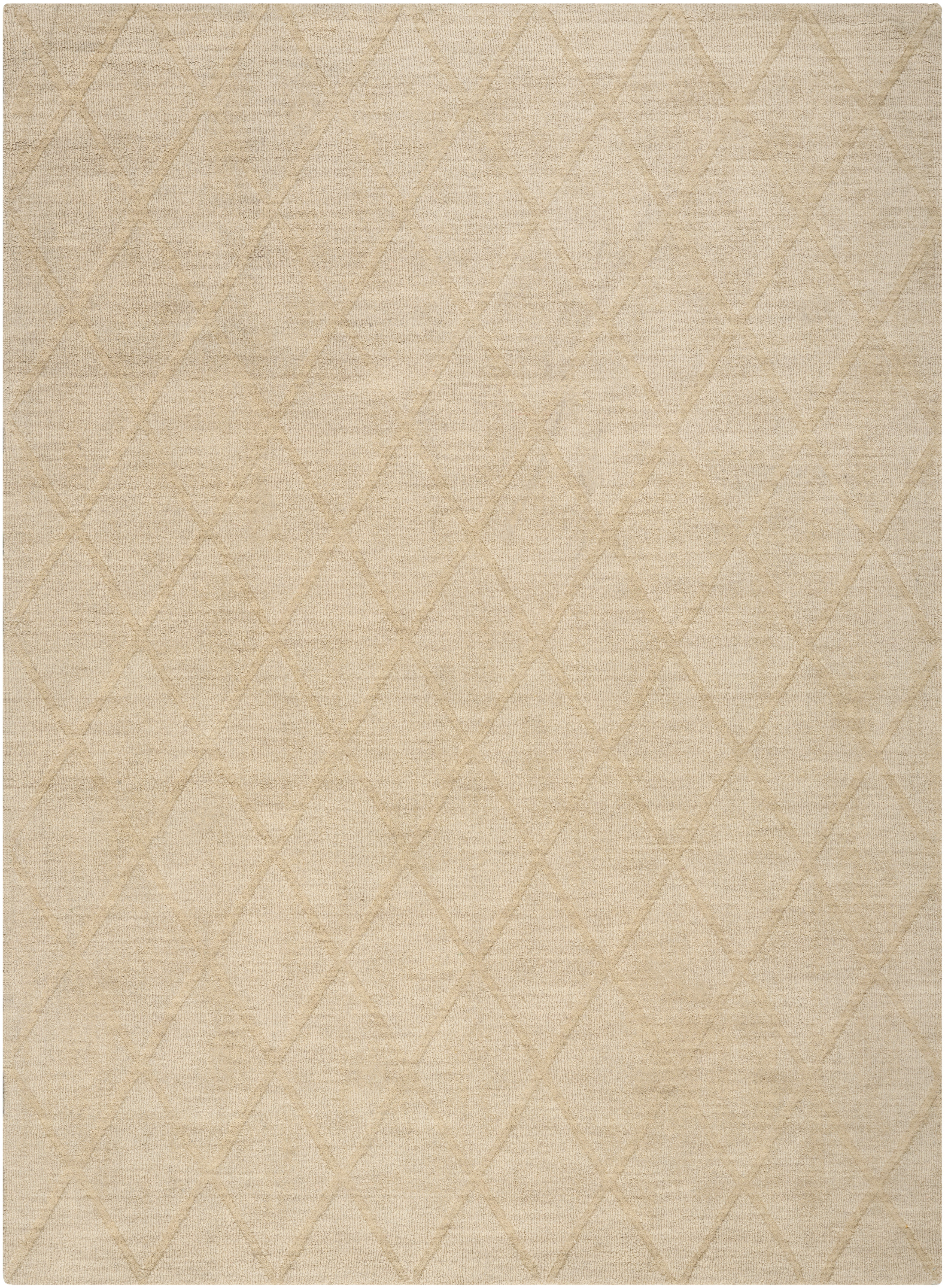 Nourison Wool Haven 3'9" x 5'9" Beige Modern Indoor Rug