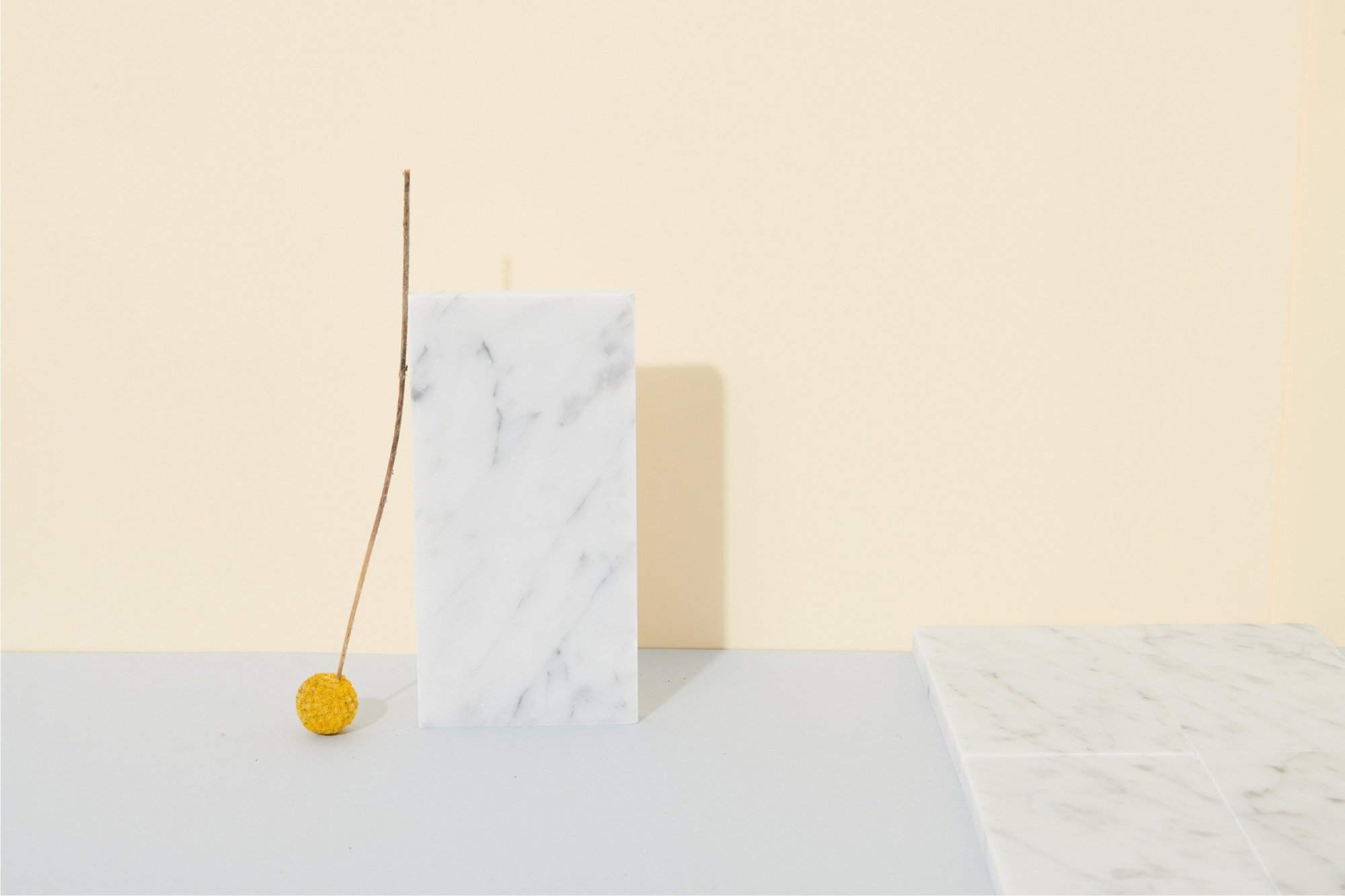 a white rectangular marble tile and a yellow flower leaning against a yellow wall.