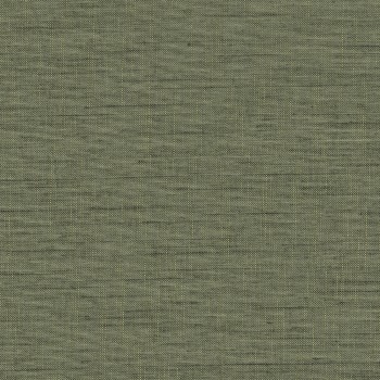 Forecast Forecast-05 Roman Blind