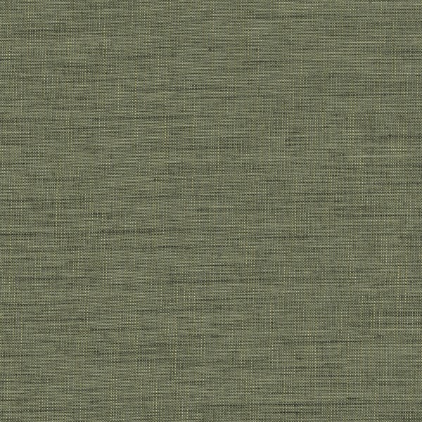 Forecast Forecast-05 Roman Blind