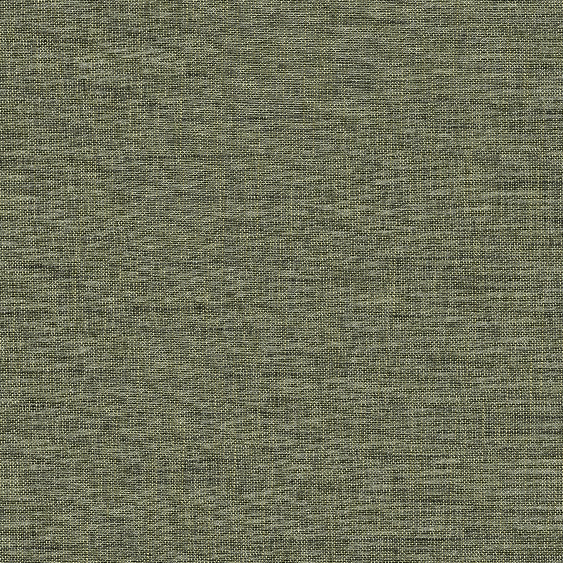 Forecast Forecast-05 Roman Blind