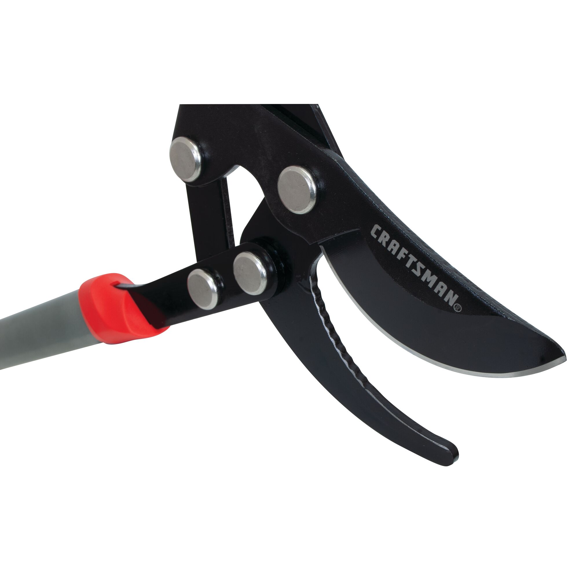High carbon steel blades with non-stick coating feature of compound bypass lopper.