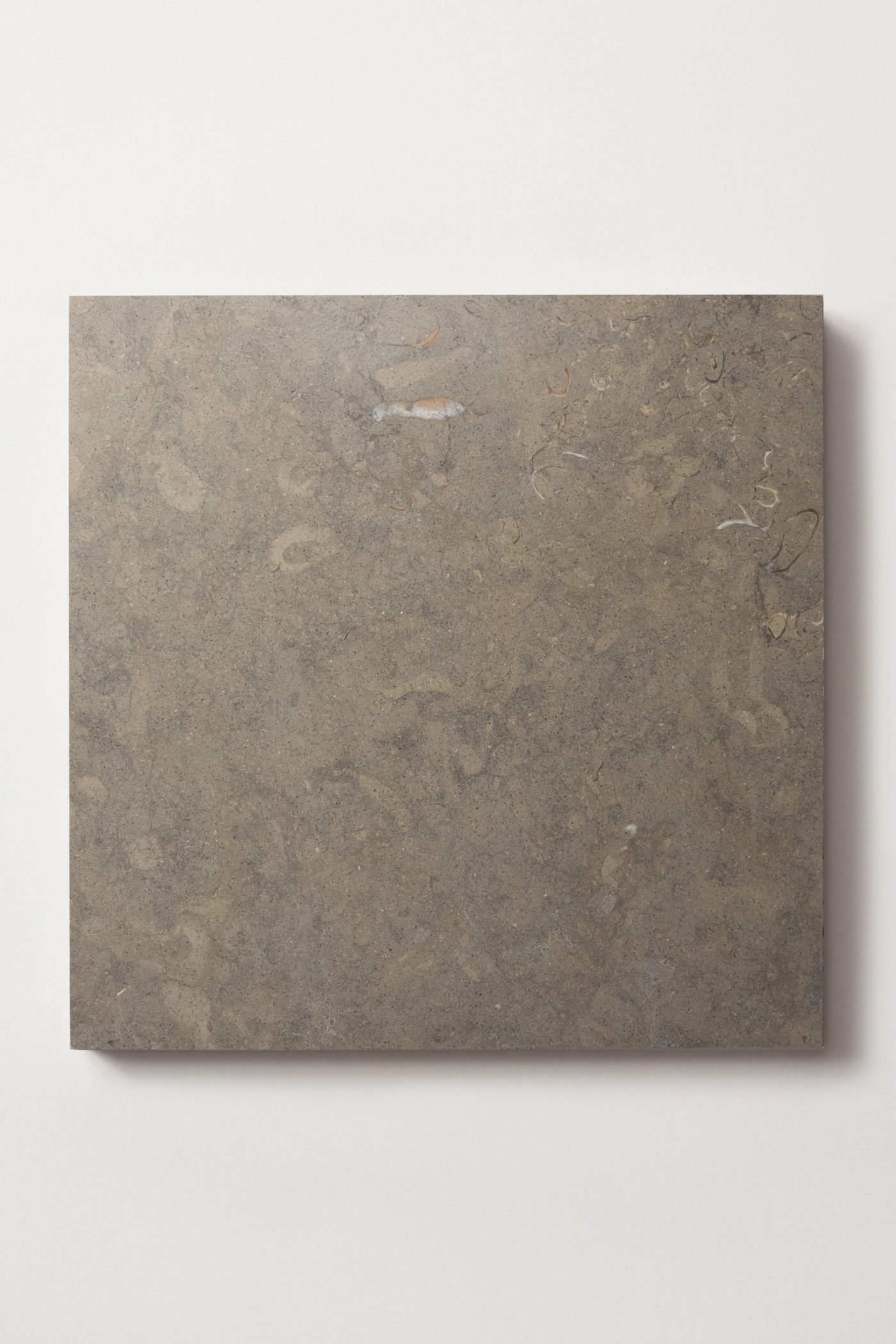 a square grey limestone tile on a white surface.