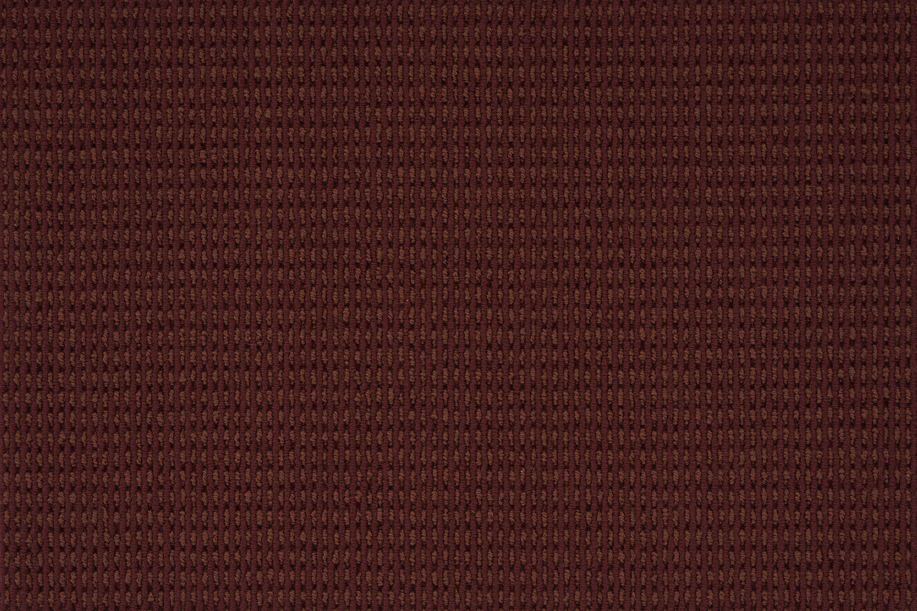 color-rug1