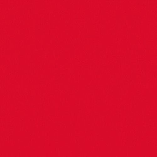 Solid red panel fills the frame, uniformly saturated and untextured, presenting a flat, uninterrupted field under even lighting with no visible objects or depth cues.