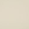 Beige flat surface â€” uniformly smooth and featureless â€” fills the frame; close-up view with soft, even neutral lighting and minimal texture or shadow.