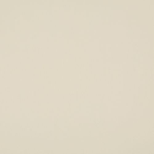 Beige flat surface â€” uniformly smooth and featureless â€” fills the frame; close-up view with soft, even neutral lighting and minimal texture or shadow.