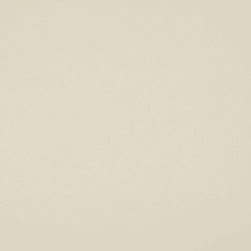 Beige flat surface â€” uniformly smooth and featureless â€” fills the frame; close-up view with soft, even neutral lighting and minimal texture or shadow.