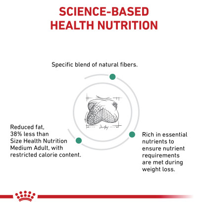 Satiety Support Weight Management Dry Dog Food 