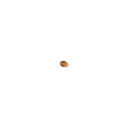 Persian kibble