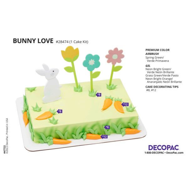 Bunny Love Cake Decorating Instruction Card