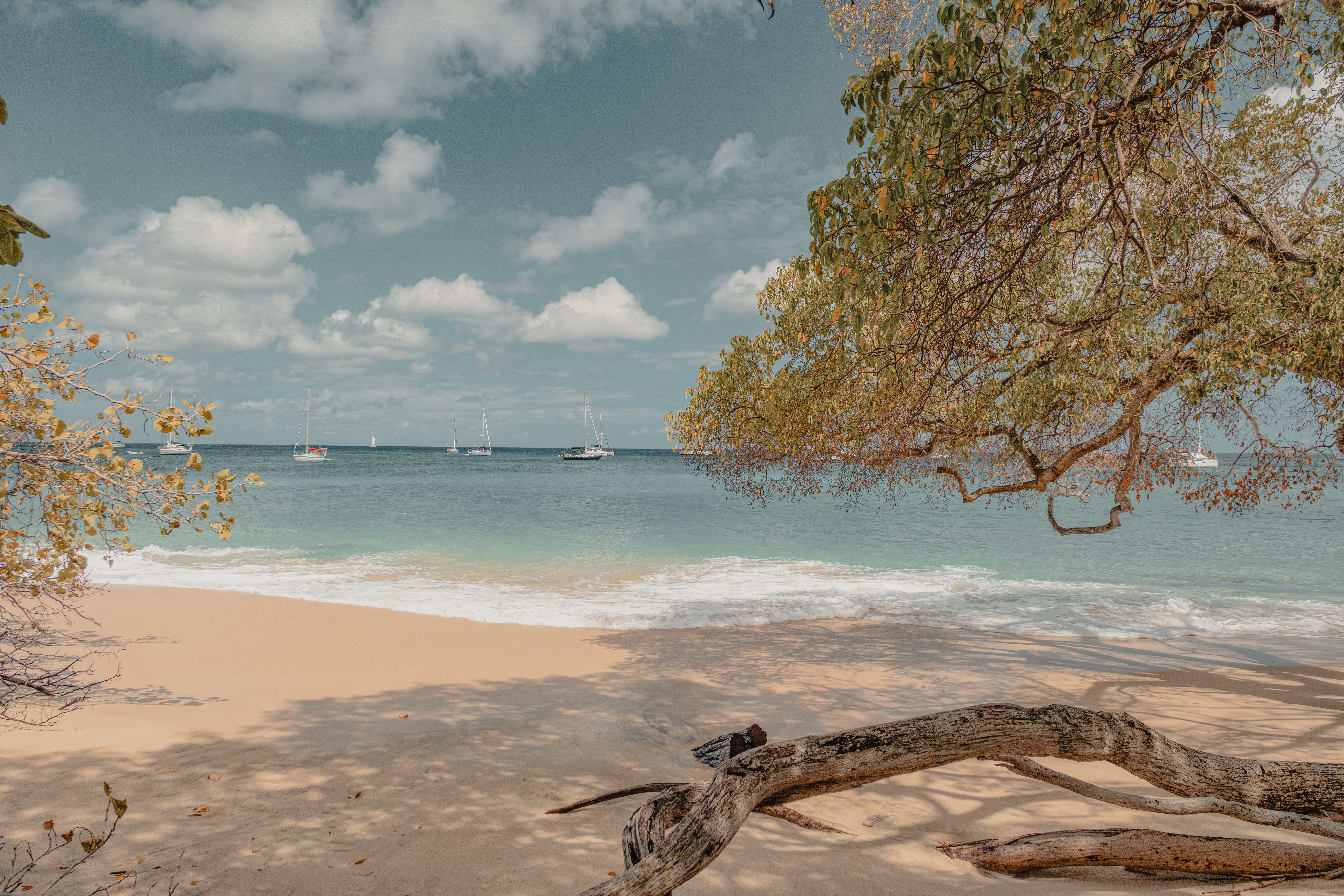 San Juan → Bridgetown (15 nights)