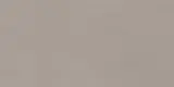 Neoconcrete Light Gray 12×24 Field Tile Light Polished Rectified