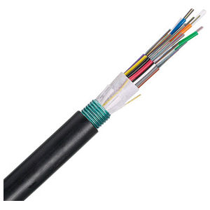 Fiber Optic Cable, Black, Singlemode (OS2), 12 Fiber