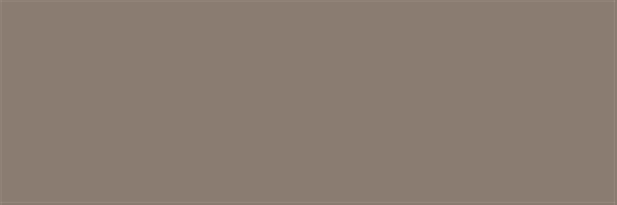 10X30 RAL 0406005 CLAY BROWN MATT nR