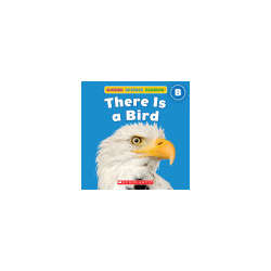s--9jAk4xR---/asd6kohm0yio2jjb06sg.jpg