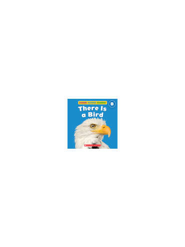 s--9jAk4xR---/asd6kohm0yio2jjb06sg.jpg