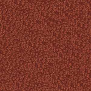 color-rug1