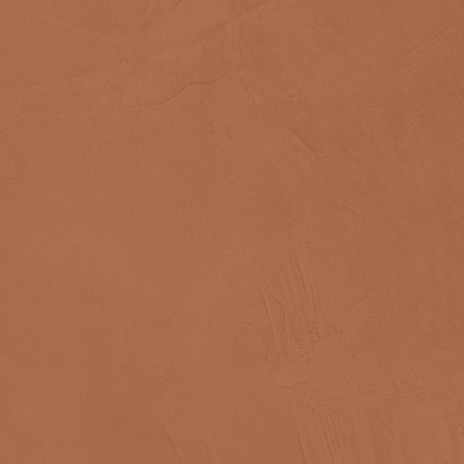 Color Variation Image