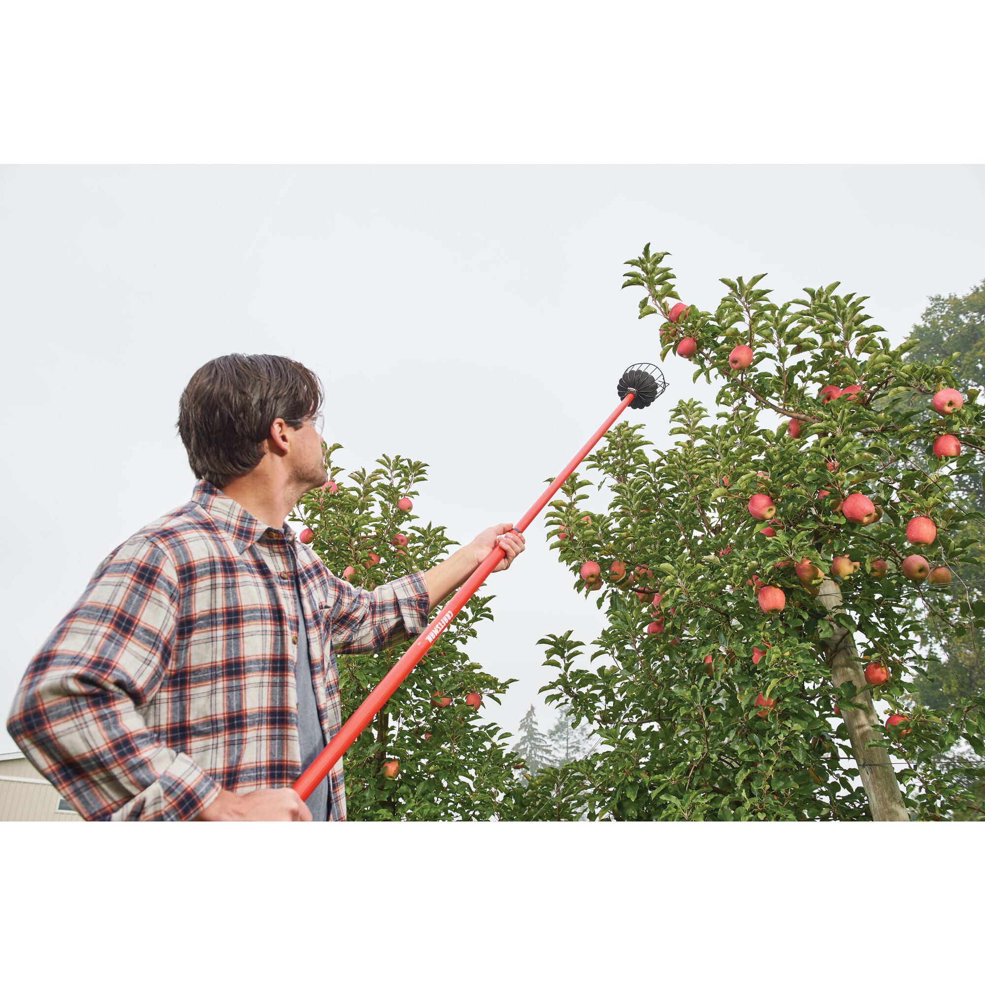 Fruit harvester being used to harvest fruits from a tree by a person.