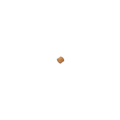 Dental kibble
