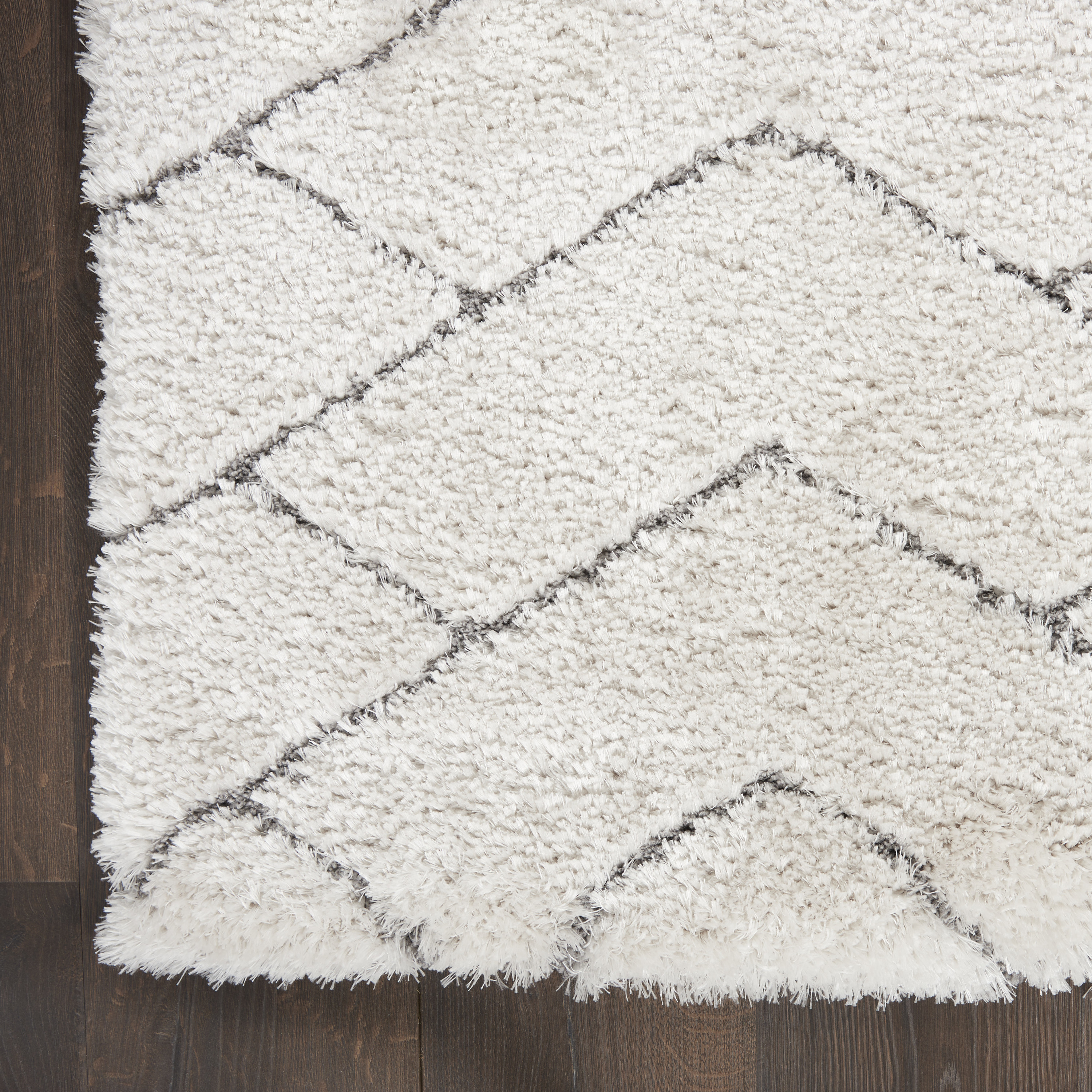 Nourison Dreamy Shag 4' x 6' Ivory Grey Shag Indoor Rug
