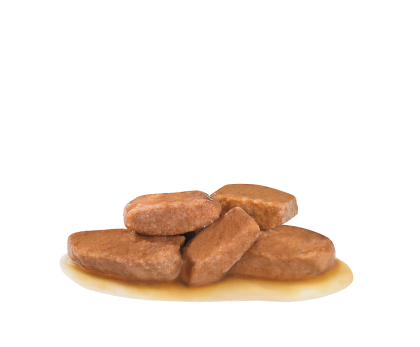 Renal (in gravy) kibble