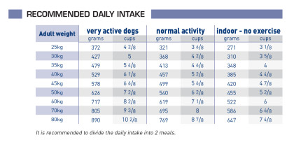 Neutered adult large dog feeding guide