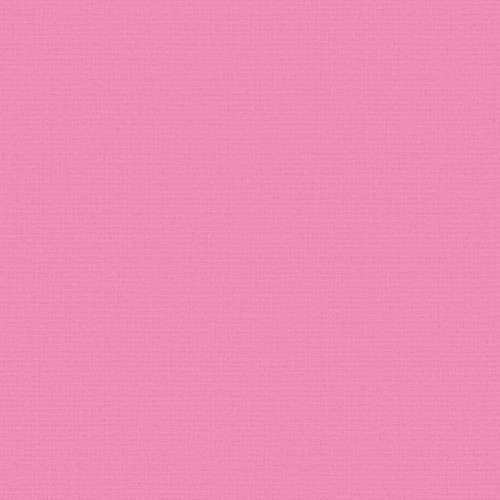 Acacia Blackout Bubblegum Roller Blind