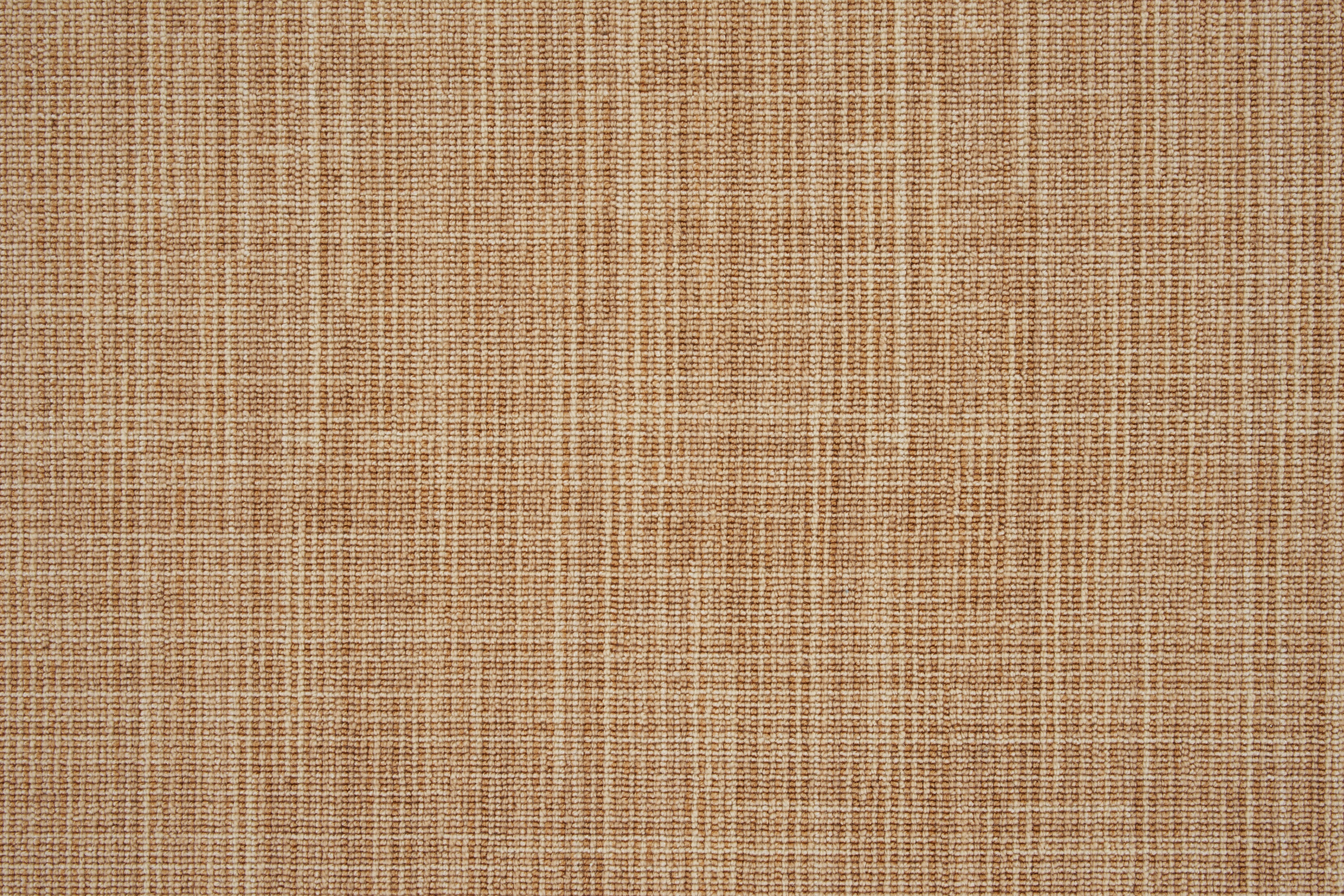 color-rug1