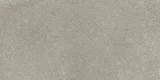 Scene Medium Gray 12×24 Field Tile
