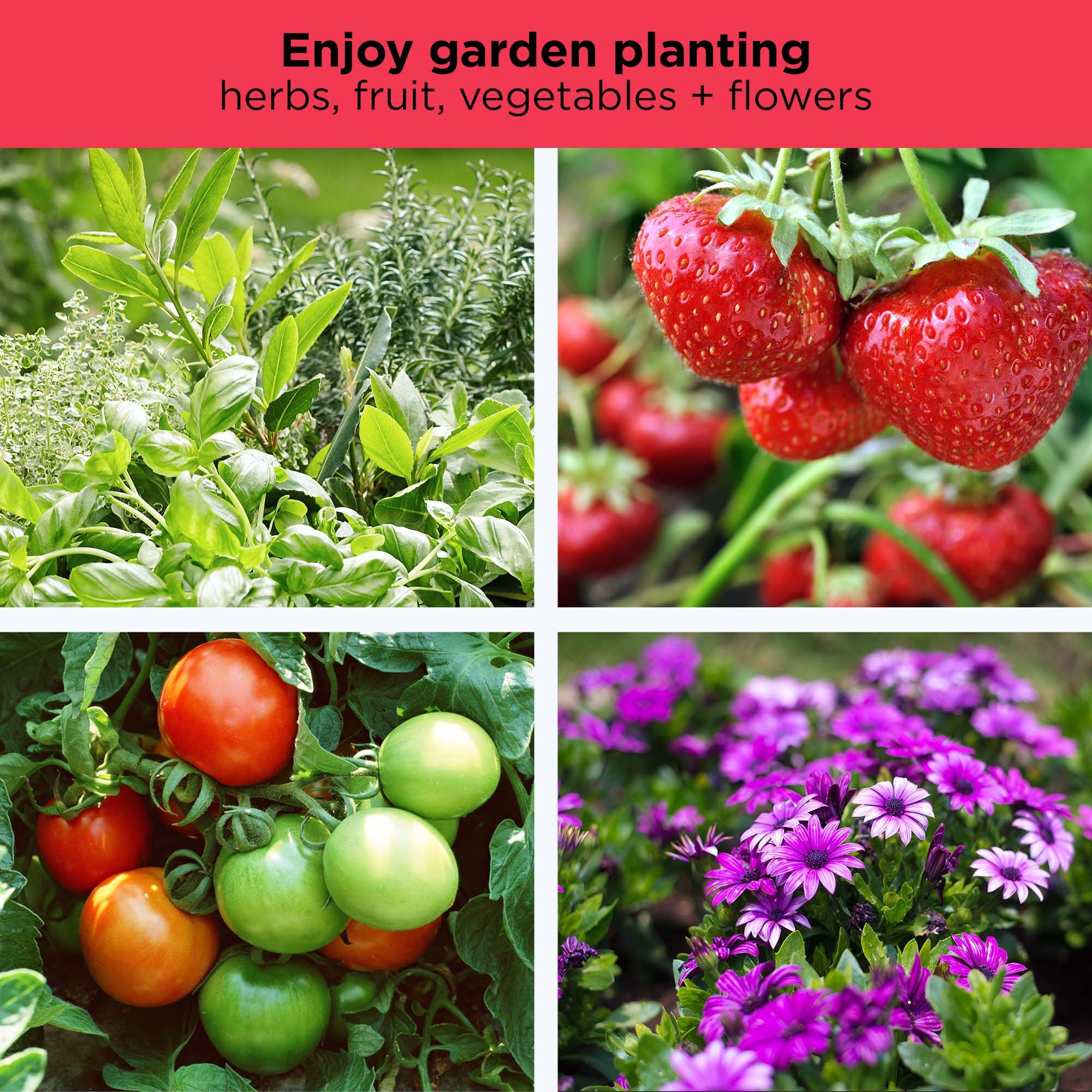 4 pictures of various herbs, fruit and vegetables