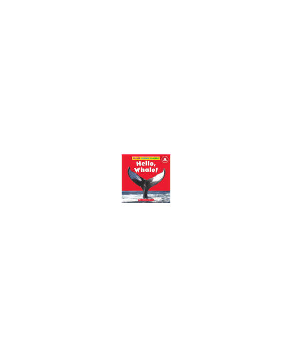 s--AG-aq-2L--/gxymsswqudbmlnvn555l.jpg
