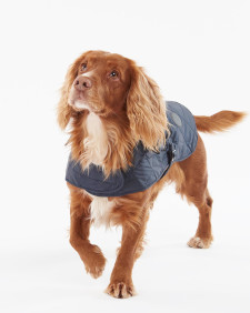 Quilted Dog Coat 