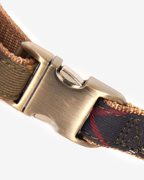 Collare Tartan 
