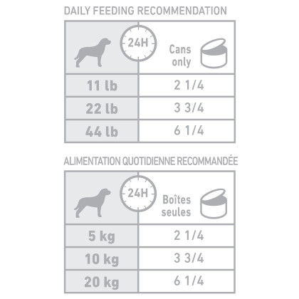 Royal Canin Veterinary Diet Canine Renal Support Early Consult Loaf in Sauce Canned Dog Food