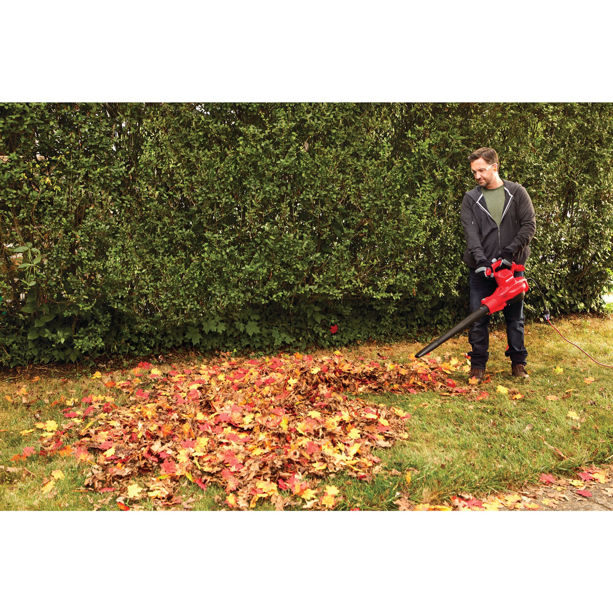 View of CRAFTSMAN Leaf Blowers  being used by consumer
