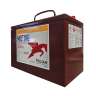 Trojan, 31-AES 12V Battery