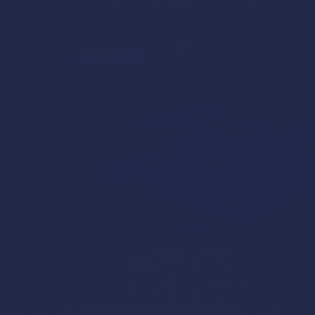 Solid navy-blue expanse fills the frame, uniformly colored and featureless, creating a flat, evenly lit field with no discernible objects, edges, or surrounding context visible.