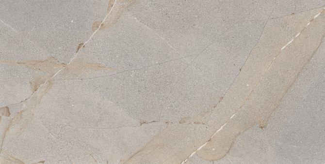Epitome Gold 24×48 Field Tile Matte Rectified