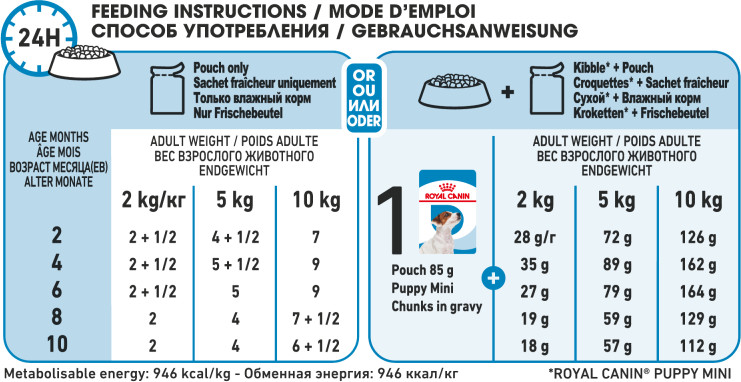 Feeding Guide