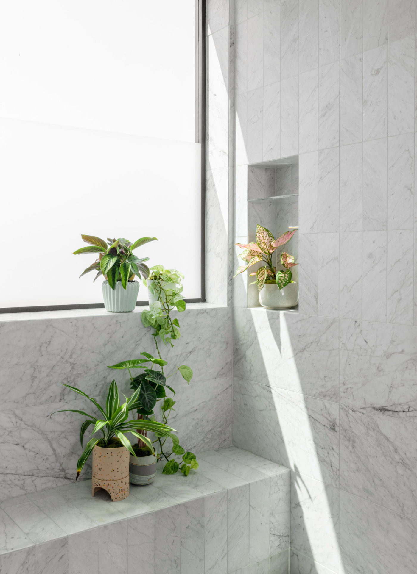 a bathroom with plants and a window.