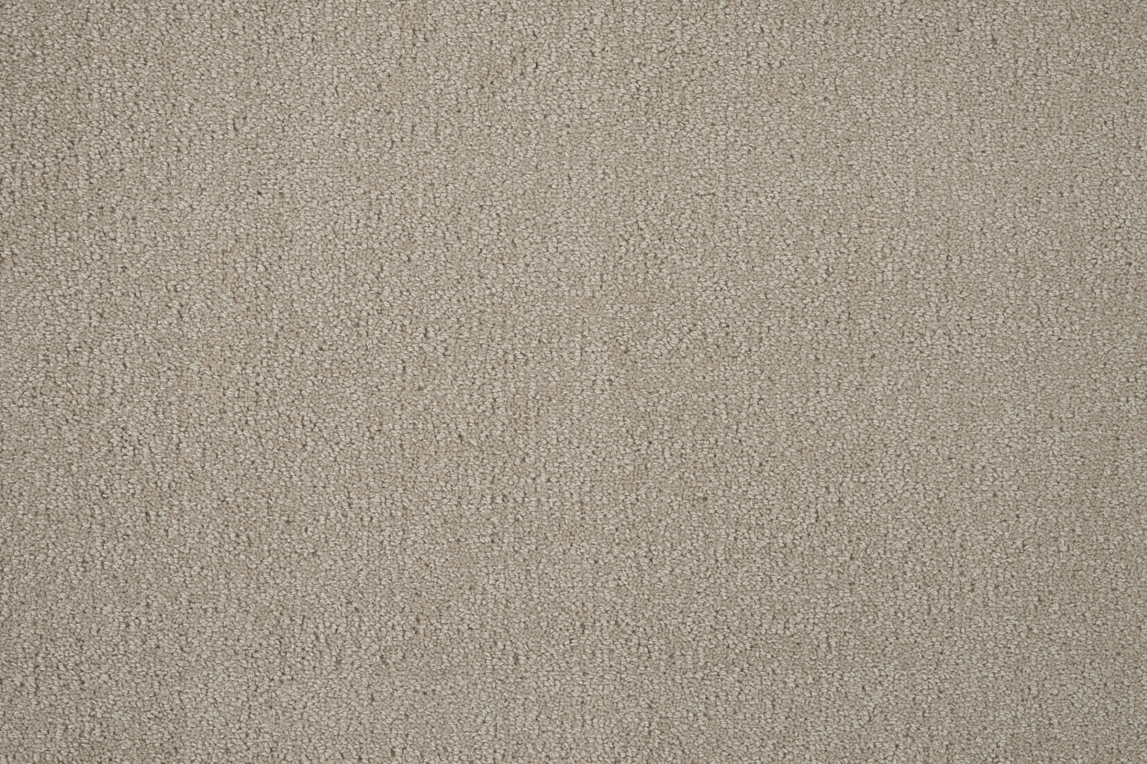 color-rug1