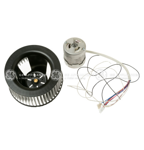BLOWER MOTOR ASSEMBLY