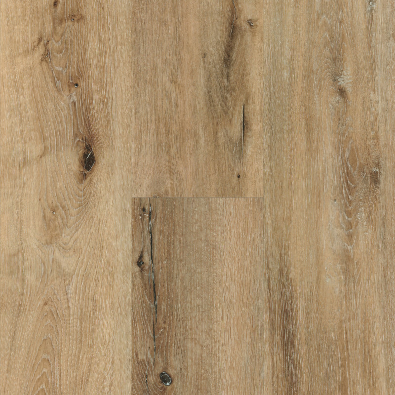 Natural Elm Select XL vinyl flooring sample