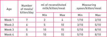 Babycat Milk feeding guide
