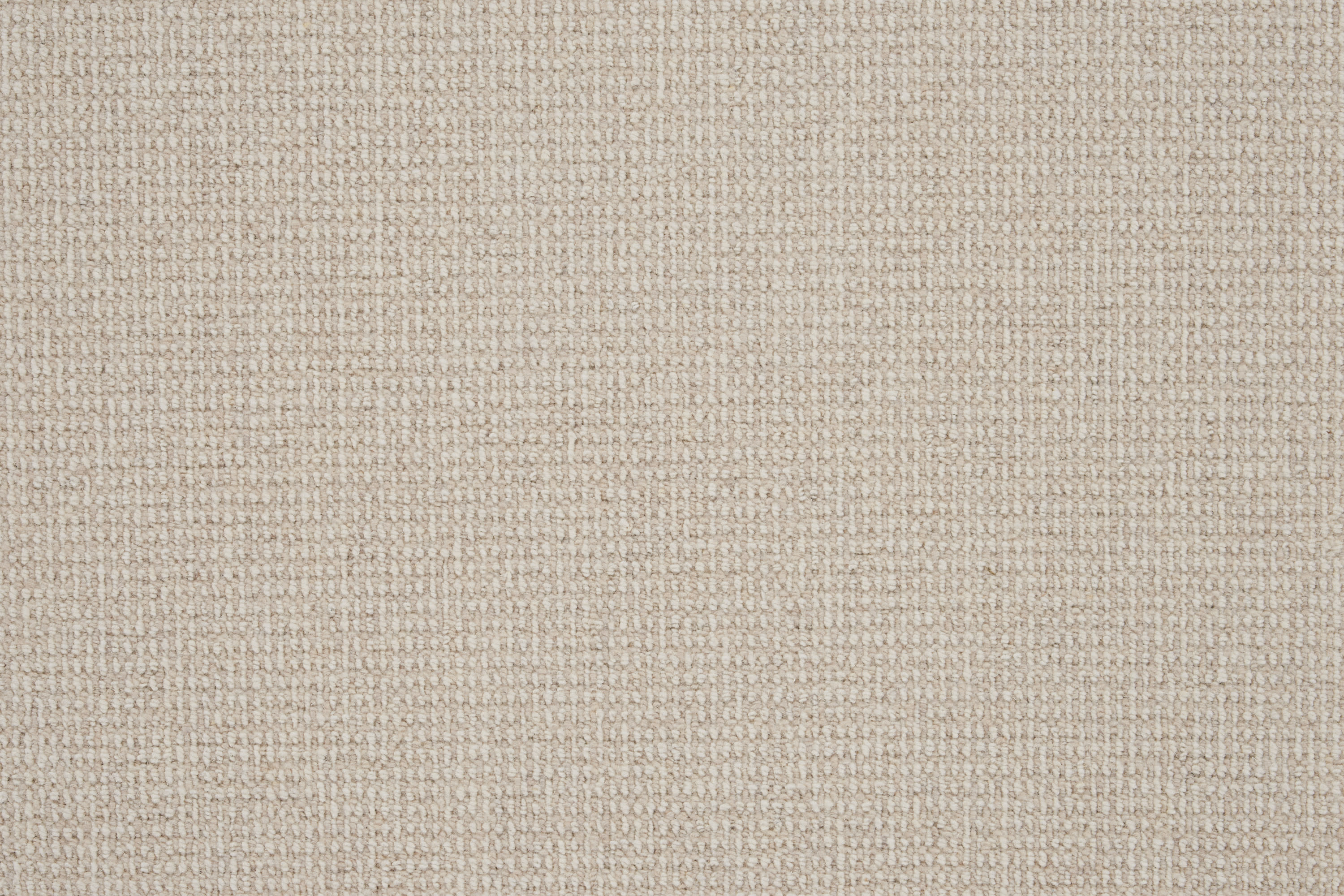 color-rug1