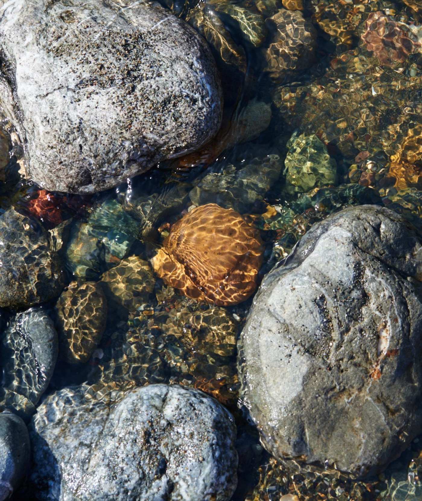 a close up of rocks in the water.