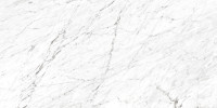 Marbles Carrara White 24×48 Field Tile rectified