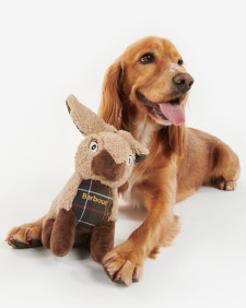 Gioco per cani coniglio 
